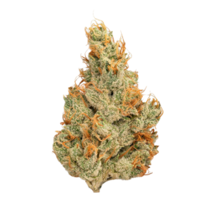 Guava Tangie