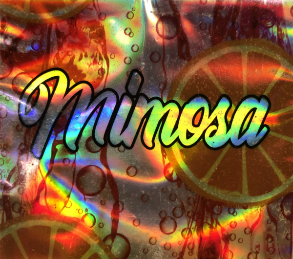 Mimosa