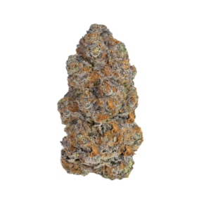 Blackberry Biscotti
